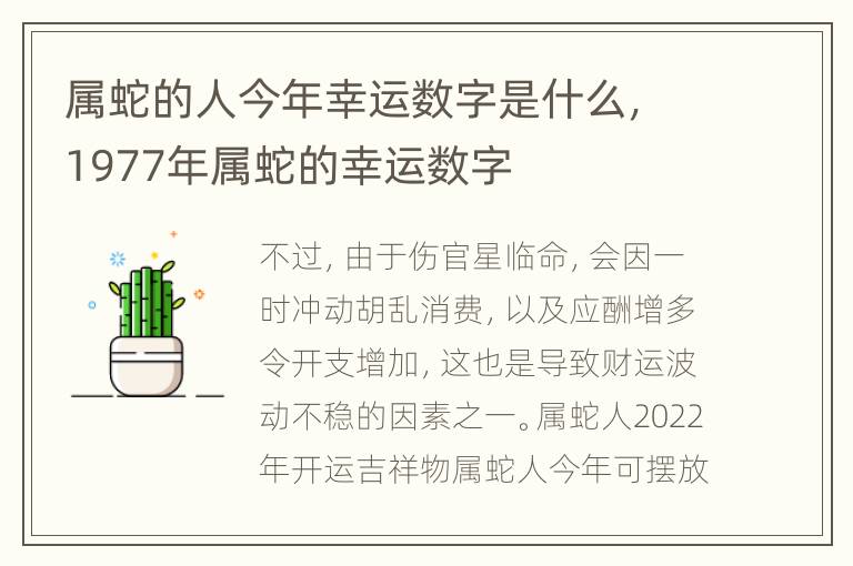 属蛇的人今年幸运数字是什么，1977年属蛇的幸运数字