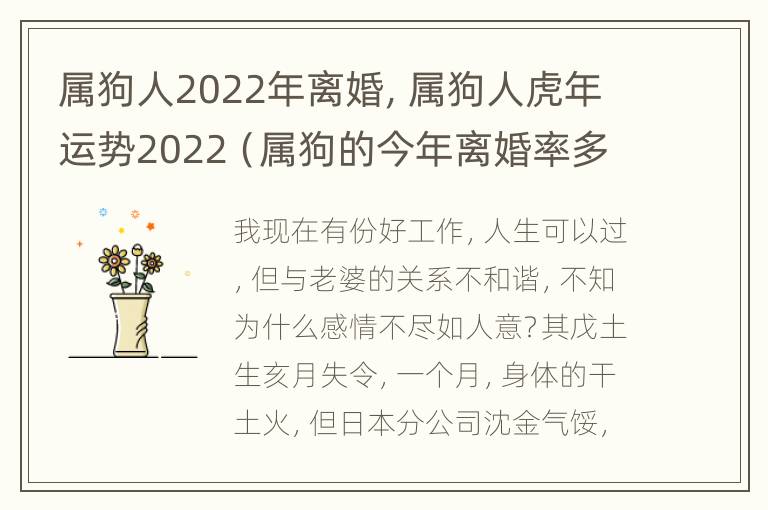 属狗人2022年离婚，属狗人虎年运势2022（属狗的今年离婚率多高）