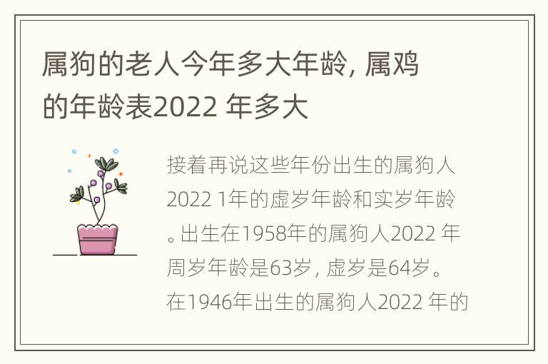 属狗的老人今年多大年龄，属鸡的年龄表2022 年多大