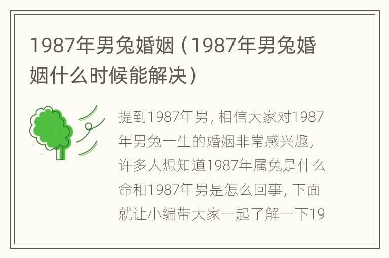 1987年男兔婚姻（1987年男兔婚姻什么时候能解决）