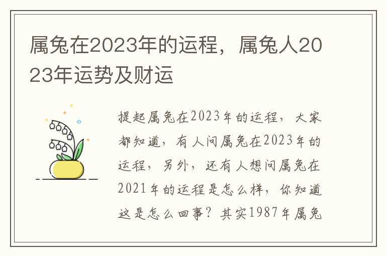 属兔在2023年的运程，属兔人2023年运势及财运