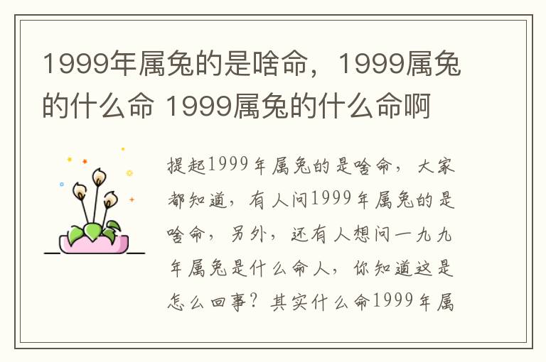 1999年属兔的是啥命，1999属兔的什么命 1999属兔的什么命啊