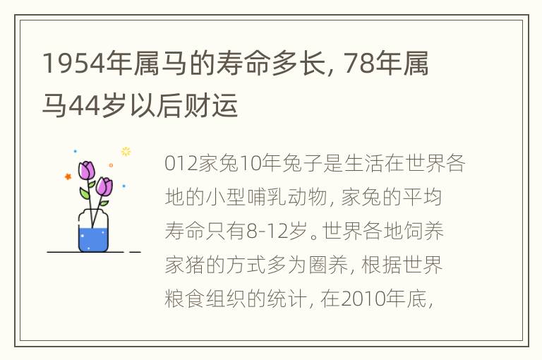 1954年属马的寿命多长，78年属马44岁以后财运