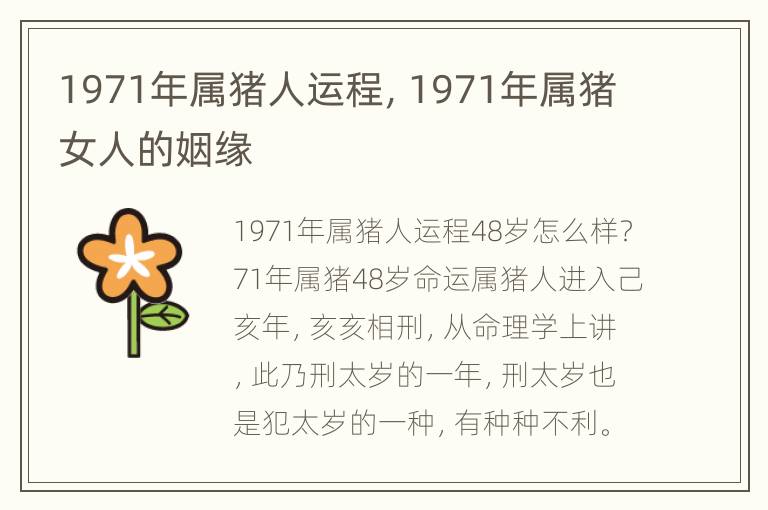 1971年属猪人运程，1971年属猪女人的姻缘