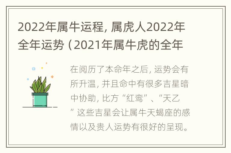 2022年属牛运程，属虎人2022年全年运势（2021年属牛虎的全年运势）