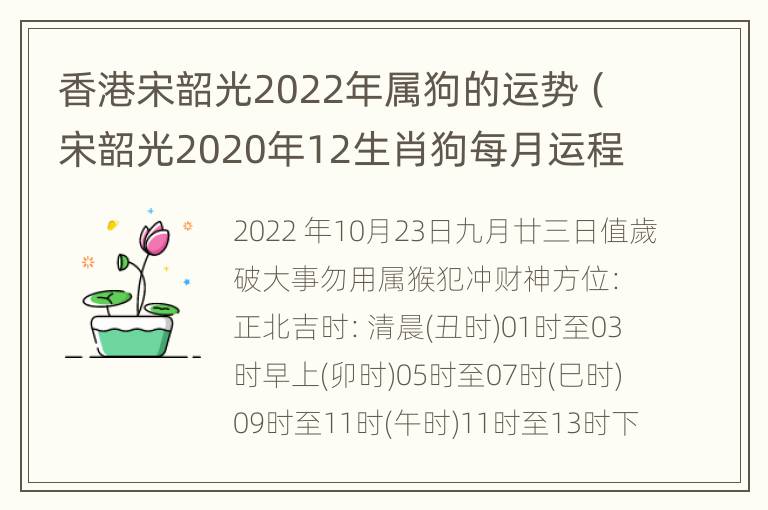 香港宋韶光2022年属狗的运势（宋韶光2020年12生肖狗每月运程）