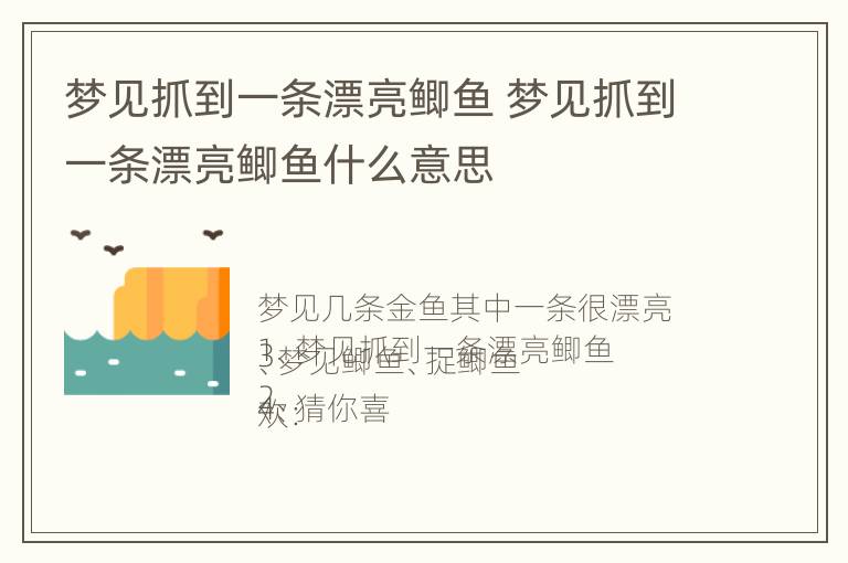 梦见抓到一条漂亮鲫鱼 梦见抓到一条漂亮鲫鱼什么意思