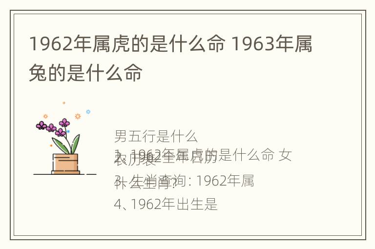 1962年属虎的是什么命 1963年属兔的是什么命