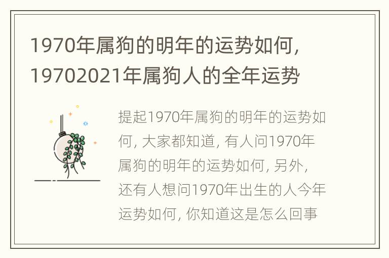 1970年属狗的明年的运势如何，19702021年属狗人的全年运势