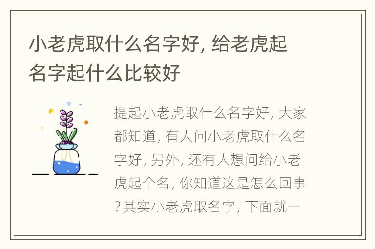 小老虎取什么名字好，给老虎起名字起什么比较好