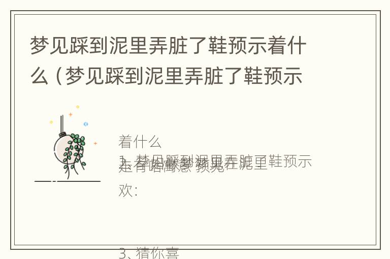 梦见踩到泥里弄脏了鞋预示着什么（梦见踩到泥里弄脏了鞋预示着什么预兆）