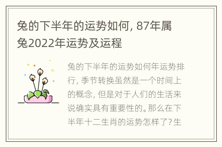 兔的下半年的运势如何，87年属兔2022年运势及运程