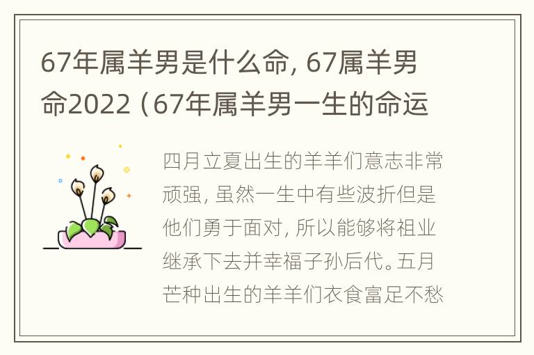 67年属羊男是什么命，67属羊男命2022（67年属羊男一生的命运）