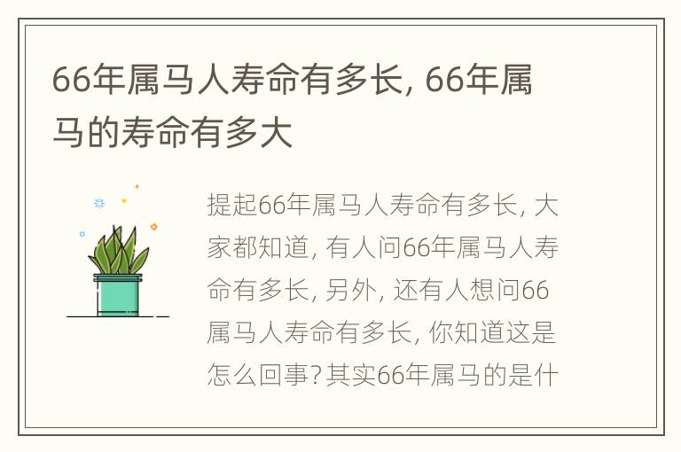 66年属马人寿命有多长，66年属马的寿命有多大