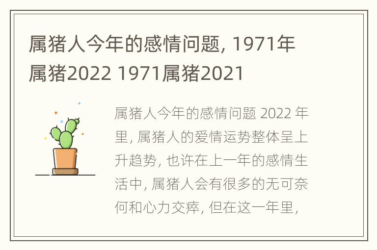 属猪人今年的感情问题，1971年属猪2022 1971属猪2021