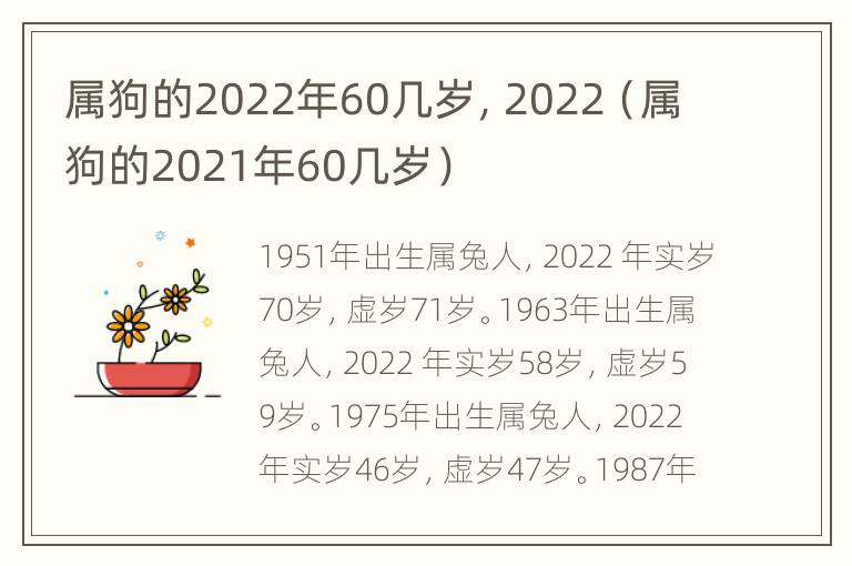 属狗的2022年60几岁，2022（属狗的2021年60几岁）