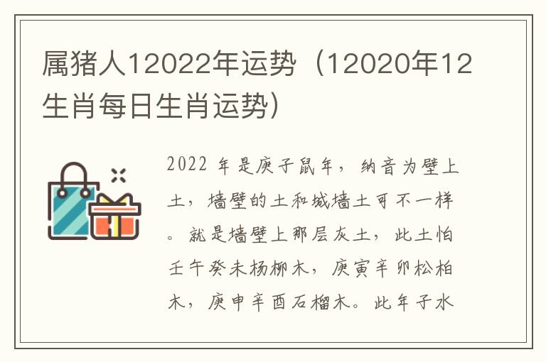 属猪人12022年运势（12020年12生肖每日生肖运势）