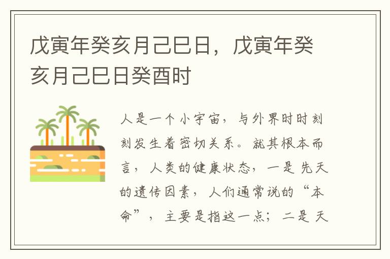 戊寅年癸亥月己巳日，戊寅年癸亥月己巳日癸酉时