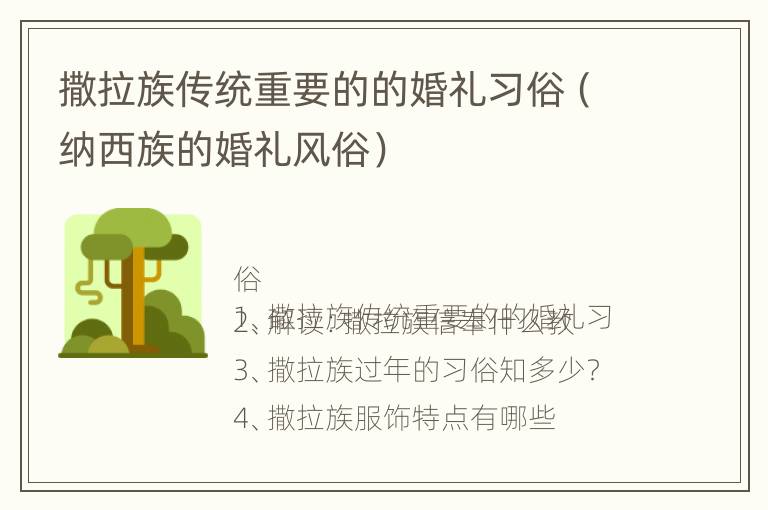 撒拉族传统重要的的婚礼习俗（纳西族的婚礼风俗）