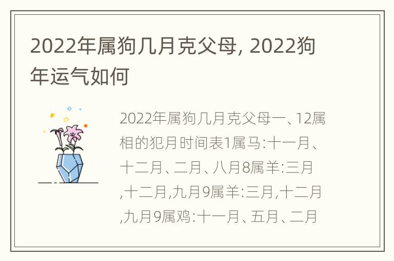 2022年属狗几月克父母，2022狗年运气如何