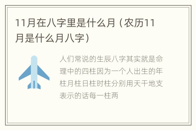 11月在八字里是什么月（农历11月是什么月八字）