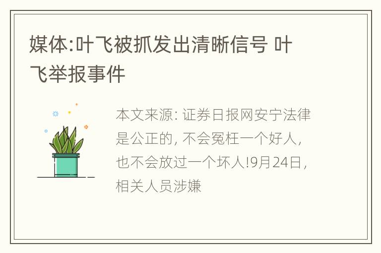 媒体:叶飞被抓发出清晰信号 叶飞举报事件