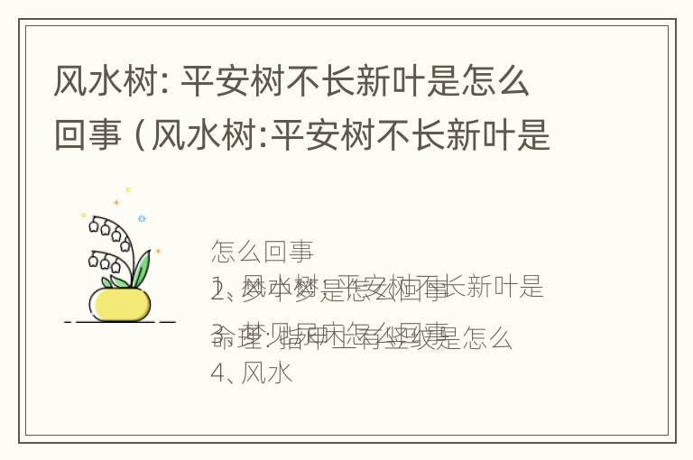 风水树：平安树不长新叶是怎么回事（风水树:平安树不长新叶是怎么回事儿）