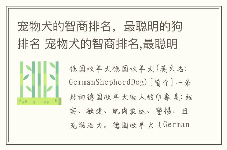 宠物犬的智商排名，最聪明的狗排名 宠物犬的智商排名,最聪明的狗排名第几