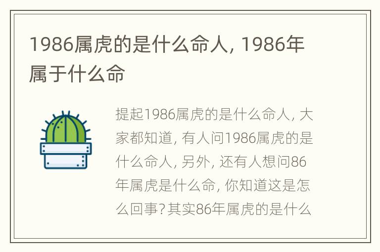 1986属虎的是什么命人，1986年属于什么命