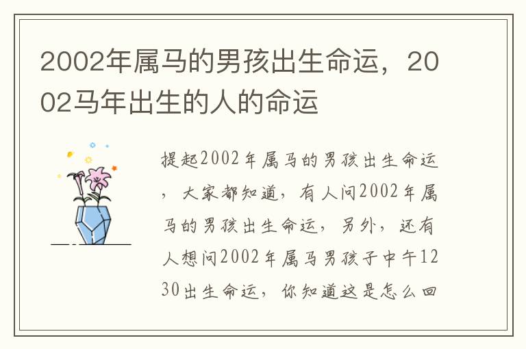 2002年属马的男孩出生命运，2002马年出生的人的命运