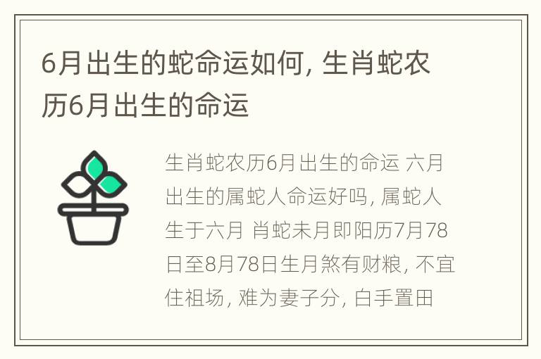 6月出生的蛇命运如何，生肖蛇农历6月出生的命运