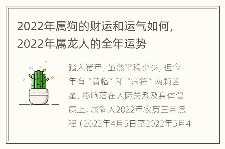 2022年属狗的财运和运气如何，2022年属龙人的全年运势