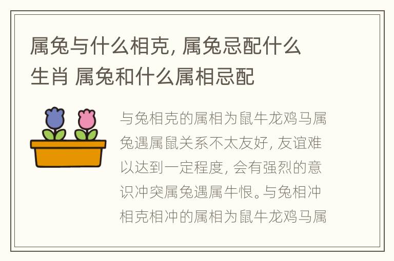 属兔与什么相克，属兔忌配什么生肖 属兔和什么属相忌配