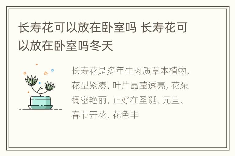 长寿花可以放在卧室吗 长寿花可以放在卧室吗冬天