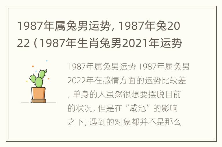 1987年属兔男运势，1987年兔2022（1987年生肖兔男2021年运势）