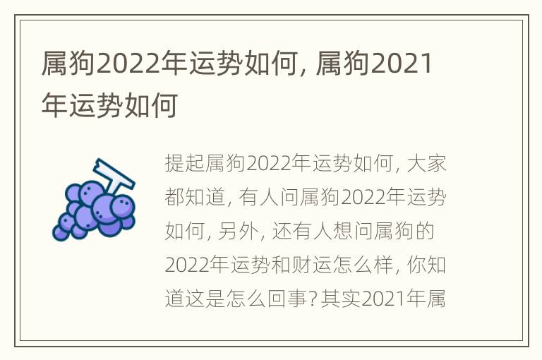 属狗2022年运势如何，属狗2021年运势如何