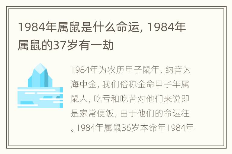 1984年属鼠是什么命运，1984年属鼠的37岁有一劫