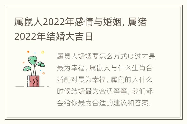 属鼠人2022年感情与婚姻，属猪2022年结婚大吉日