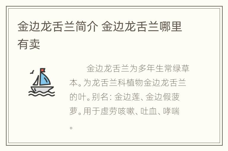 金边龙舌兰简介 金边龙舌兰哪里有卖