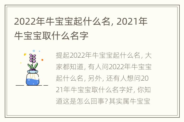 2022年牛宝宝起什么名，2021年牛宝宝取什么名字