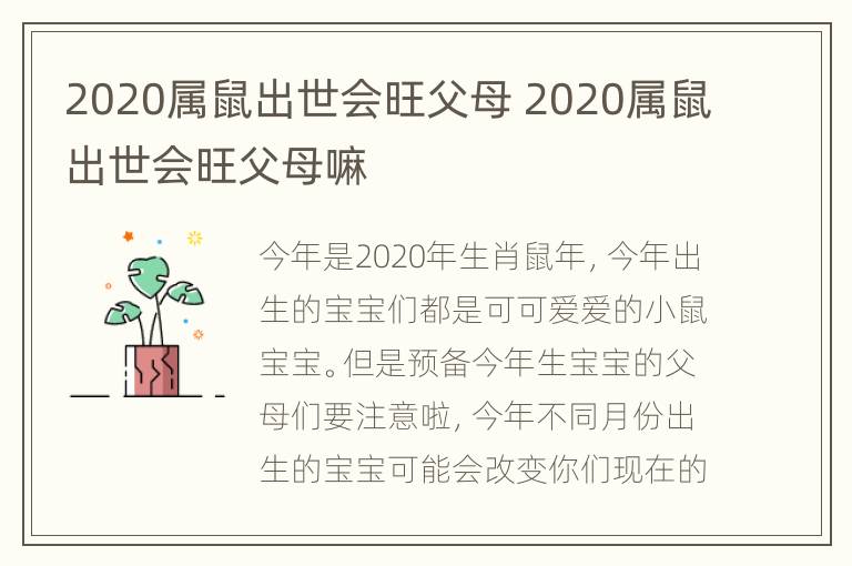 2020属鼠出世会旺父母 2020属鼠出世会旺父母嘛