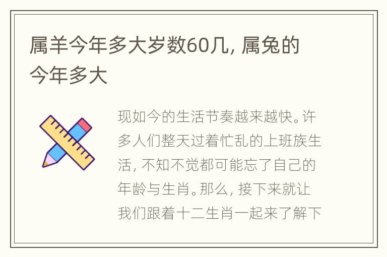 属羊今年多大岁数60几，属兔的今年多大