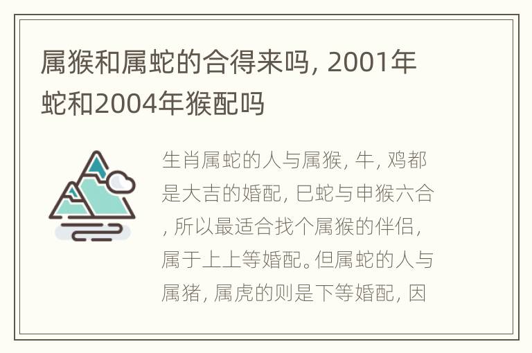 属猴和属蛇的合得来吗，2001年蛇和2004年猴配吗