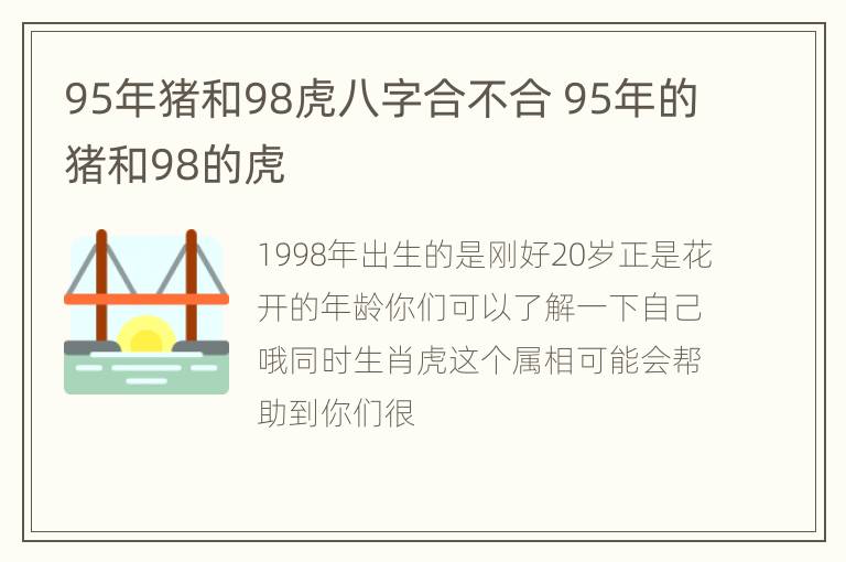 95年猪和98虎八字合不合 95年的猪和98的虎