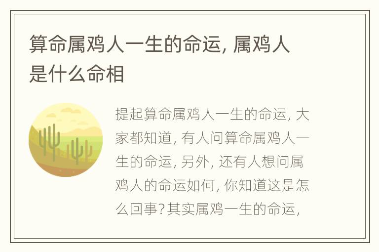 算命属鸡人一生的命运，属鸡人是什么命相