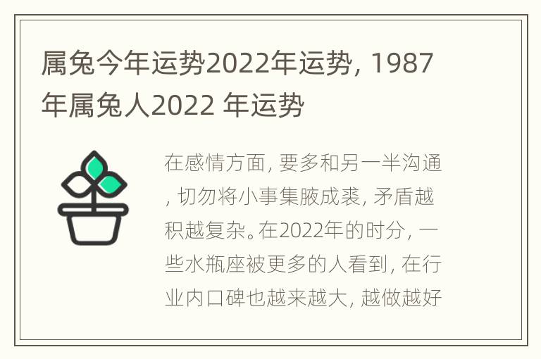 属兔今年运势2022年运势，1987年属兔人2022 年运势