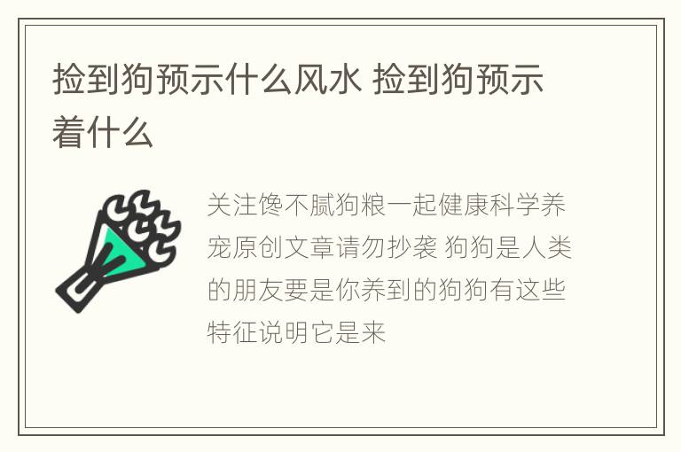 捡到狗预示什么风水 捡到狗预示着什么