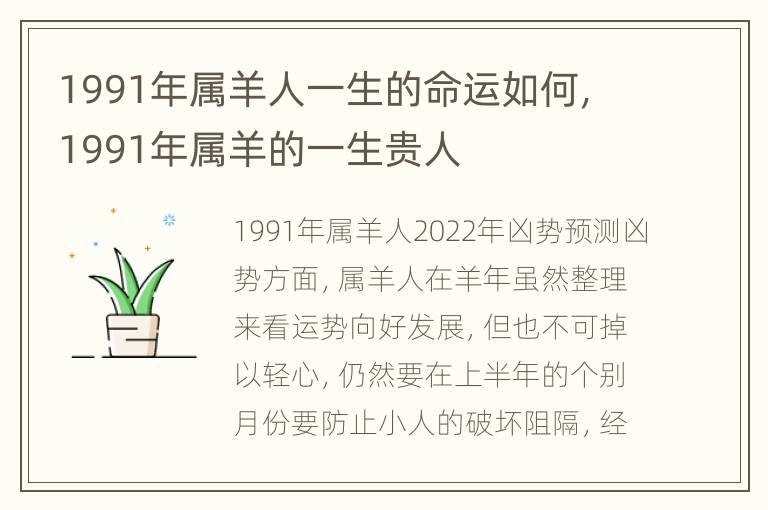 1991年属羊人一生的命运如何，1991年属羊的一生贵人