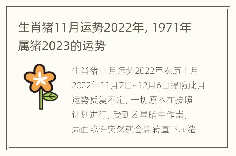 生肖猪11月运势2022年，1971年属猪2023的运势