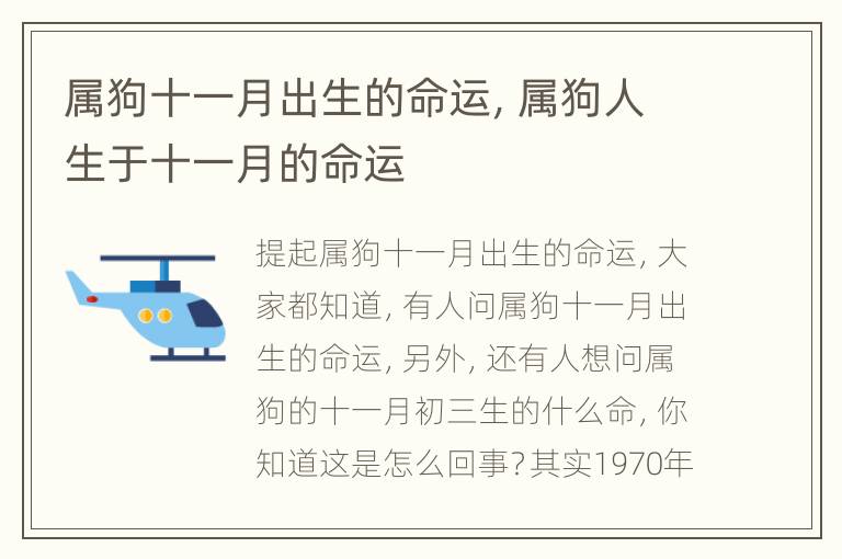 属狗十一月出生的命运，属狗人生于十一月的命运